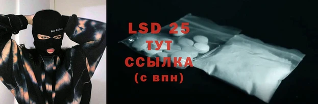 PSILOCYBIN Бугульма